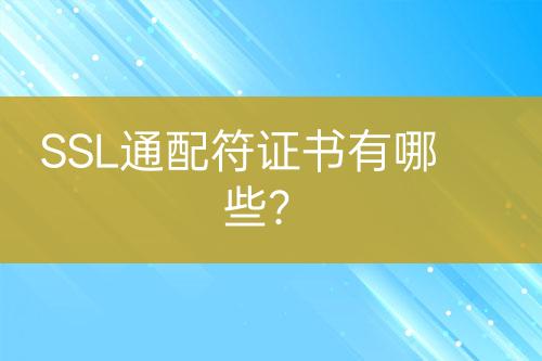 SSL通配符证书有哪些？