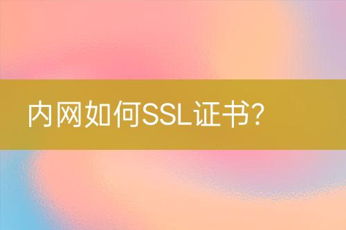 内网如何SSL证书？