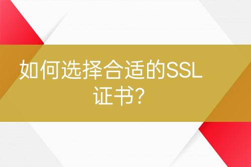 如何选择合适的SSL证书？